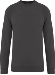 Native Spirit – Eco-friendly unisex French Terry raglan sleeved round neck sweatshirt for embroidery and printing