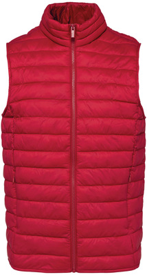 Native Spirit - Leichter umweltfreundlicher Bodywarmer für Herren (Hibiscus Red)