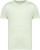 Native Spirit - Ausgewaschenes Unisex-T-Shirt mit kurzen Ärmeln (Washed Green Apple)