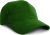 Result - Pro-Style Heavy Cotton Cap (Forest)